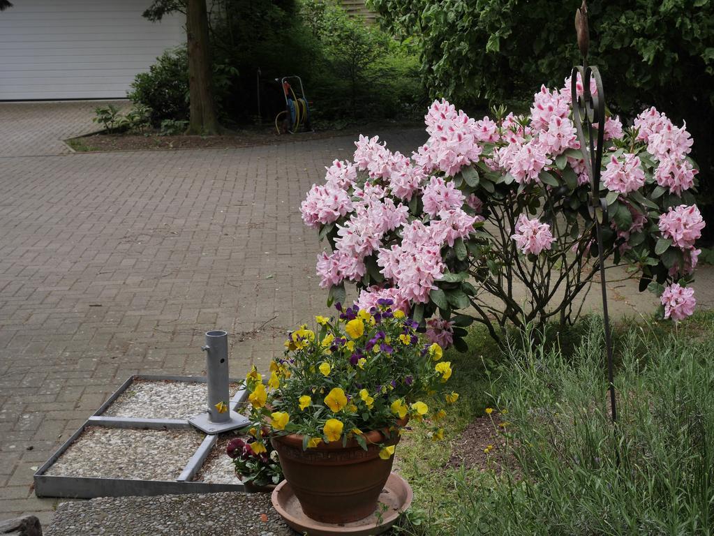 Villa Kuekenkamp Rätzlingen Zewnętrze zdjęcie